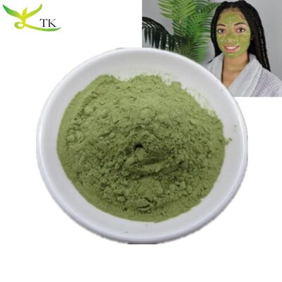 100% Pure Natural Qasil Leaf Powder For Skin And Hair Gob Tree Leaf Qasil Powder Bulk