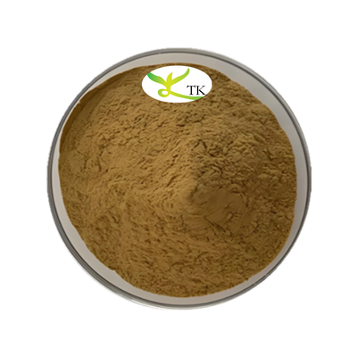 Natural Birch Bark Extract Powder 10:1 20:1 Food Grade Birch Bark Extract