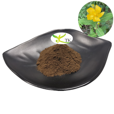 Natural Perforatum Extract St. John's Wort Extract 0.3% Hypericum Perforatum Extract For Mood