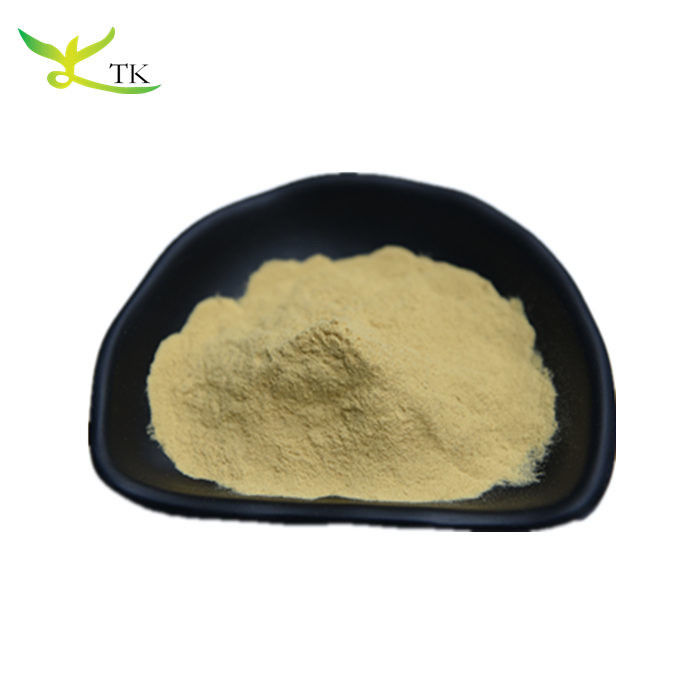 Baikal Skullcap Root Extract Powder 85% Baicalin Scutellaria Baicalensis Extract