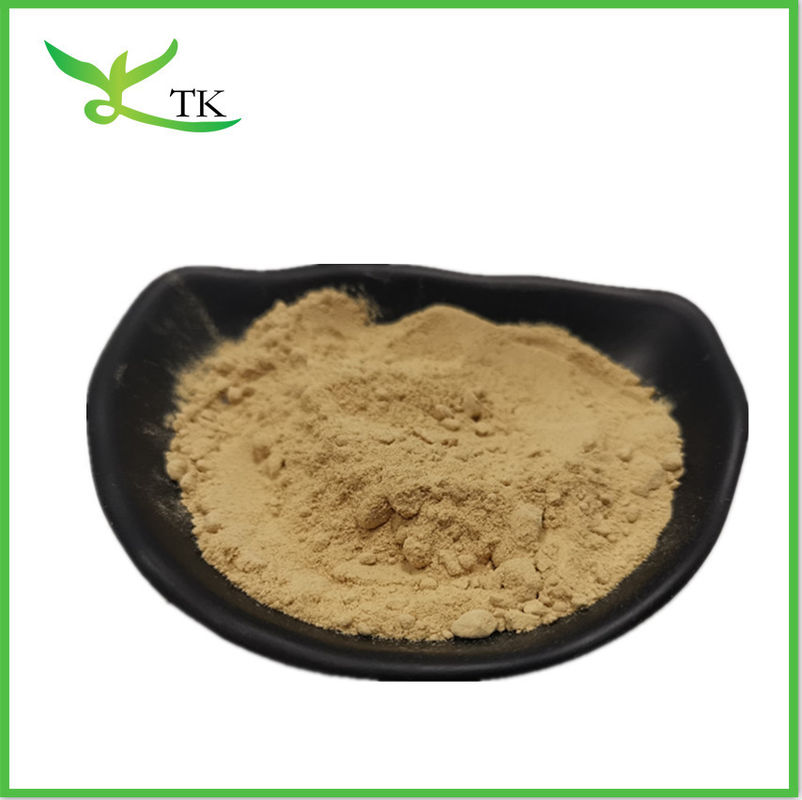 Factory Plant Verbenae Officinalis Blue Vervain Extract Powder Mesh Size 80