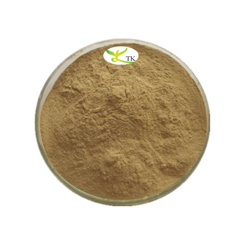 100% Natural Salvadora Persica Extract Powder Miswak Extract 4:1 10:1