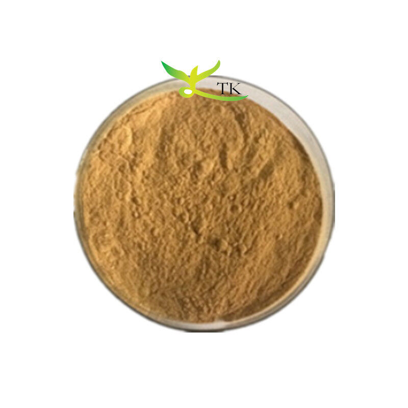 Wholesale Price Natural Plant Extract Powder Rhubarb Root Extract Emodin 98% In Stock