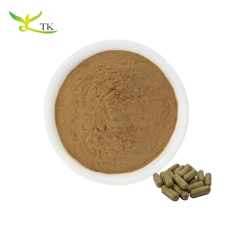 Natural Brown Seaweed Fucus Vesiculosus Extract Fucoxanthin 60% Extract Powder 1kg