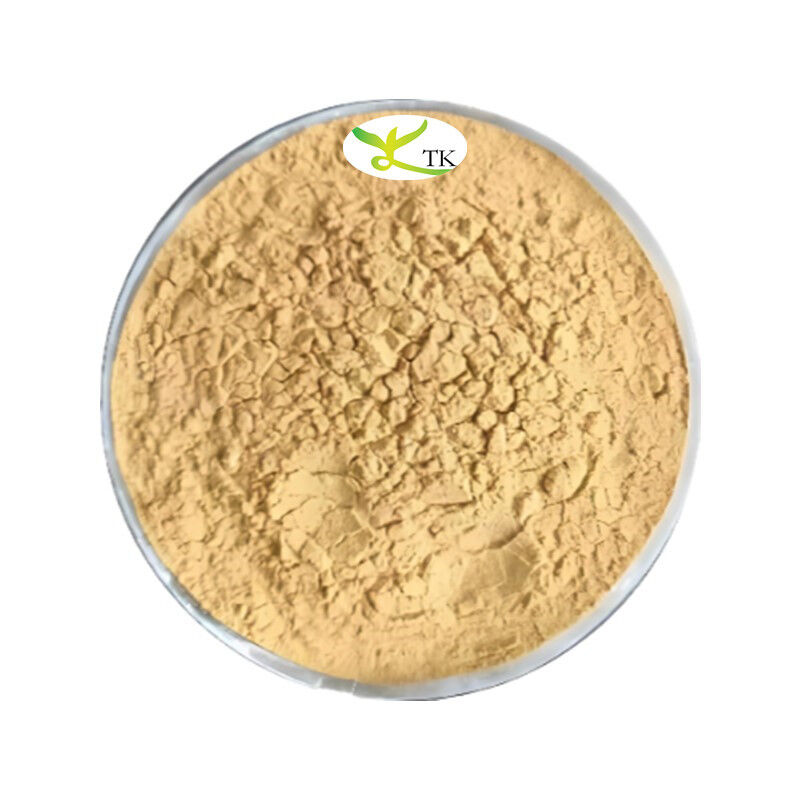 Factory Supply High Quality Sophora Japonica Extract Fructus Sophorae Extract Powder