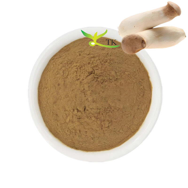 Natural Mushroom Supplement King Trumpet Mushroom Extract Powder Polysaccharides 20%