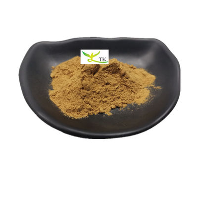 천연 Cistanche Deserticola 추출물 Caulis Cistanchis 추출물 대량 Cistanche Tubulosa 추출물 분말