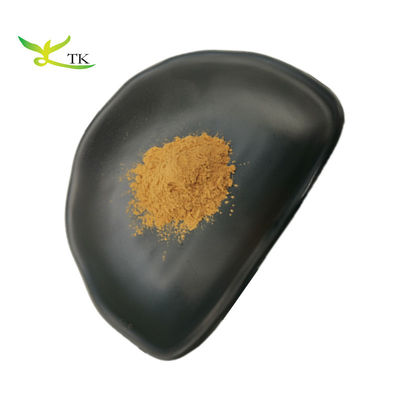 식물 추출물 천연 Schisandra Chinensis 추출물 분말 Schisandra Berry 추출물
