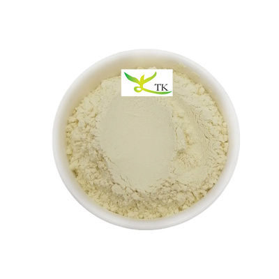 천연 식물 추출물 망고 잎 추출물 분말 망기페린 95% CAS 4773-96-0