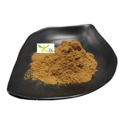 천연 YU XING CAO Houttuynia Cordata 추출물 분말 심장잎 Houttuynia 허브 추출물 PE