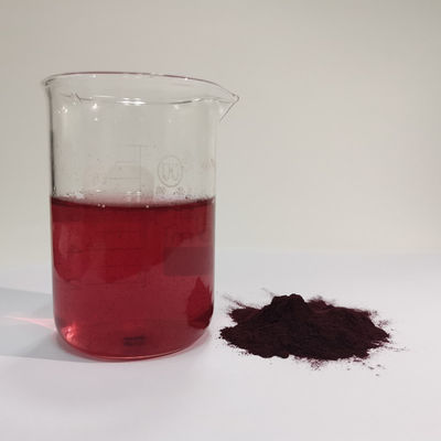 HACCP 공장 최고 가격 도매 자연 25% 블루베리 추출물 분말 안토시아닌 물에 녹는