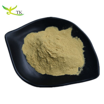 100% 천연 바이칼 두개골 뿌리 추출물 Scutellaria Baicalensis 추출물 분말 바이칼린