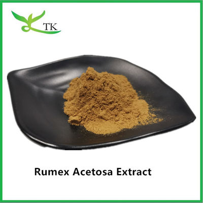 도매 가격 100% 천연 허브 추출물 Rumex Acetosa L. 추출물 분말