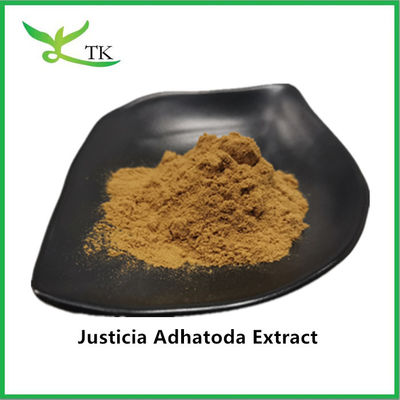 100% 천연 Justicia Adhatoda 추출물 분말 Adhatoda Vasica 추출물 10:1