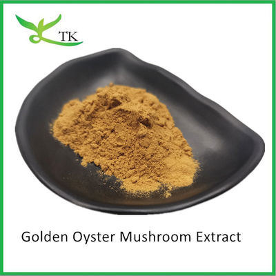 천연 버섯 보충제 Pleurotus Citrinopileatus 골든 오이스터 버섯 추출 분말