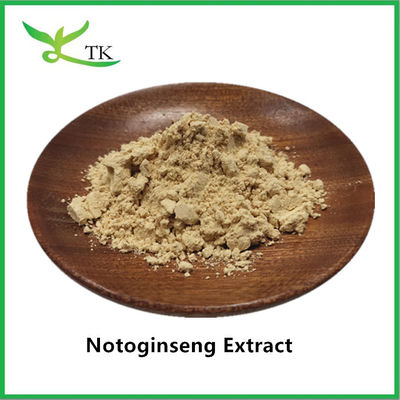 도매 가격 천연 식물 추출물 Notoginseng 추출물 파우더 파낙스 Notoginseng 추출물