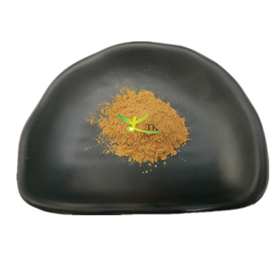 천연 버섯 건강 관리 아가리쿠스 블라제이 추출 분말 아가리쿠스 블라제이 버섯 추출 분말