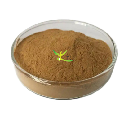 자연산 털별꽃아재비 추출 분말 10:1 털별꽃아재비 (Lysimachia christinae Hance) 분말 추출물
