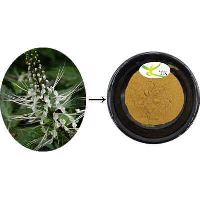 천연 오르토시폰 아리스타투스 추출물 오르토시폰 잎 추출물 분말 결석 제거