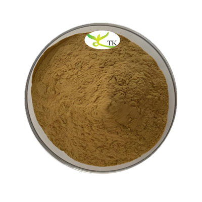 중국 나물 Andrographis Paniculata 추출물 Andrographolide 20% 98% CAS 5508-58-7 Andrographolide