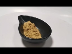 천연 식물 추출 분말 버섯 추출 분말