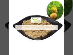 최고 가격 100% 천연 식품 등급 자사 로사 록스버기 과일 분말