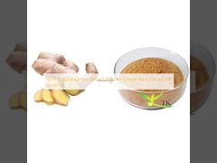 100% Natural GInger Extract Powder Ginger Root Extract 5% Gingerols
