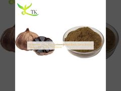 Wholesale Price Natural Fermented Black Garlic Extract Powder Sac S-allyl-l-cysteine