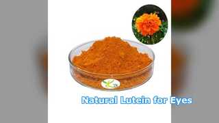 눈 건강을 위한 천연 루테인 분말